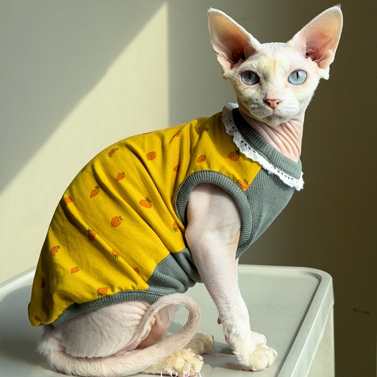 Yellow Summer Clothing - Clothing for Cat Spring Sweet Yellow