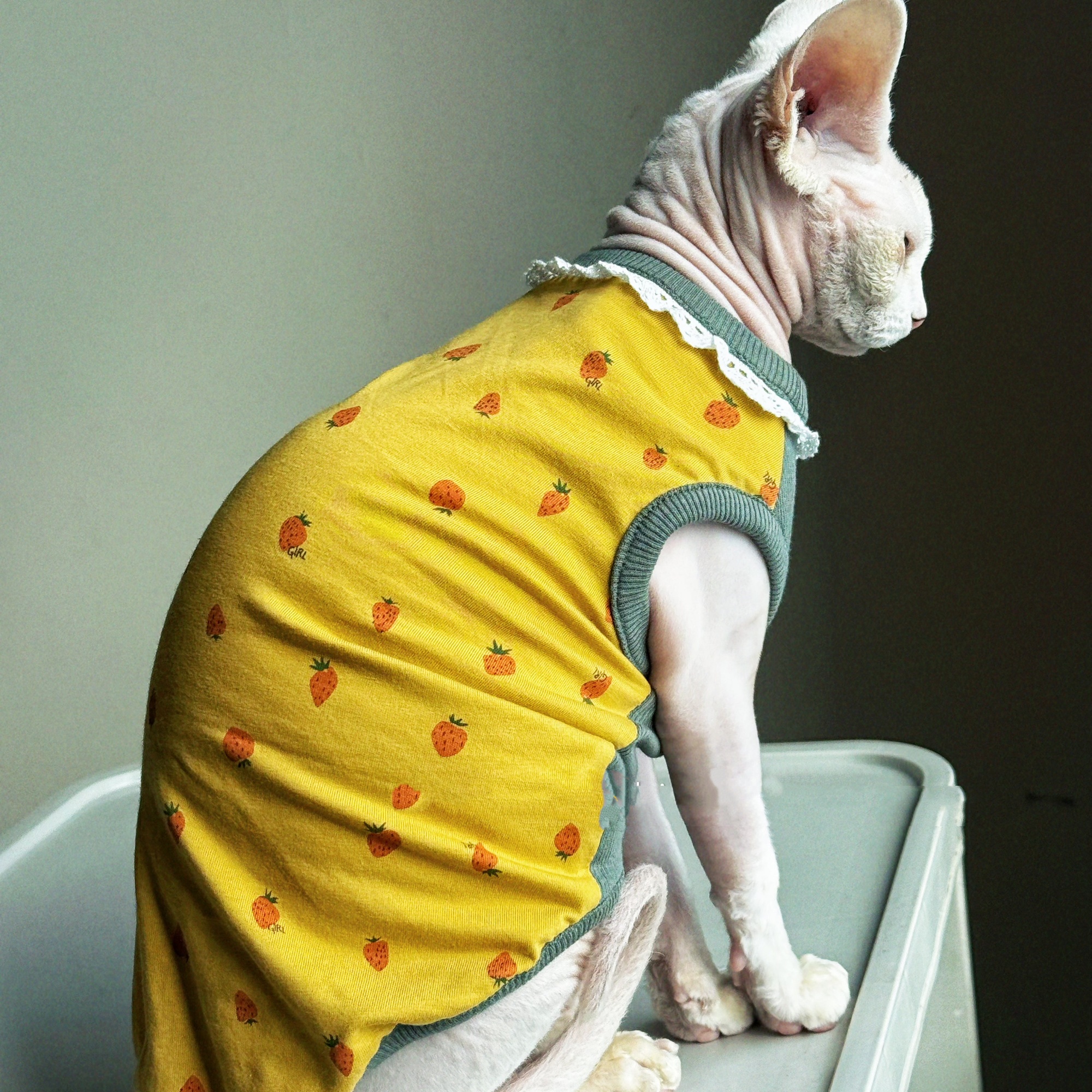 Clothing for Cat Spring Sweet  - Yellow Summer Clothing ulasan dan harga