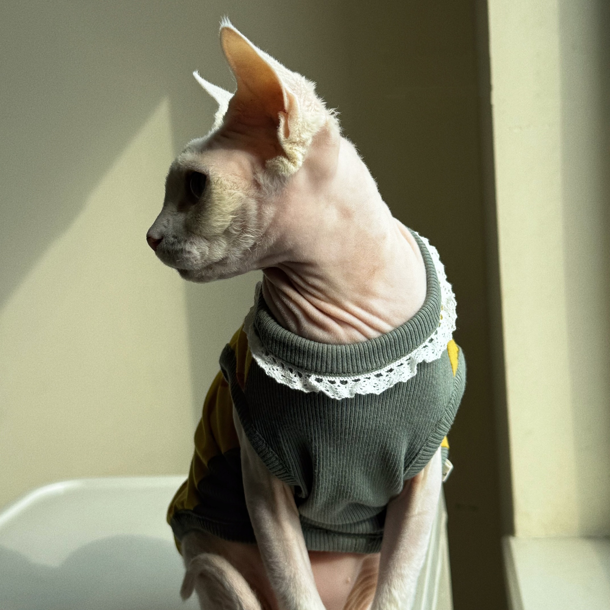 Clothing for Cat Spring Sweet  - Yellow Summer Clothing ulasan dan harga
