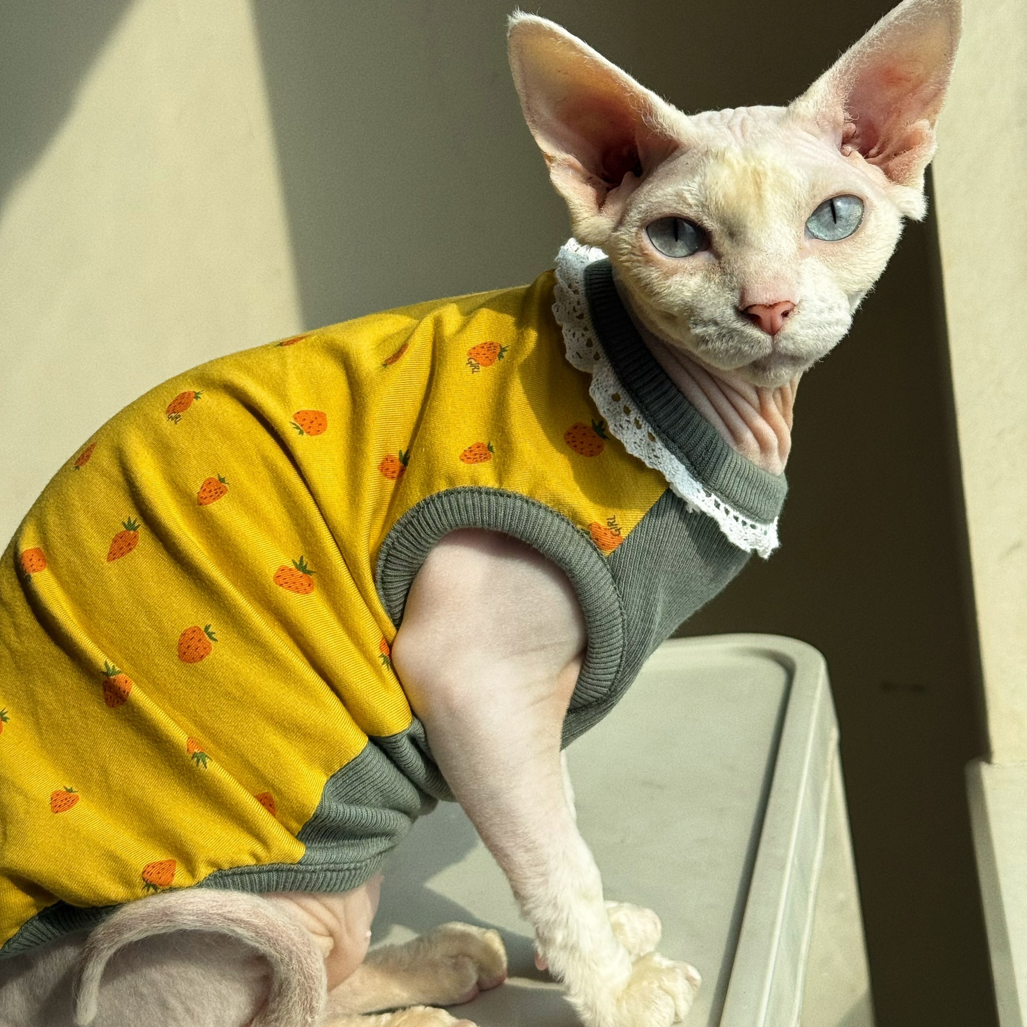 Clothing for Cat Spring Sweet  - Yellow Summer Clothing ulasan dan harga